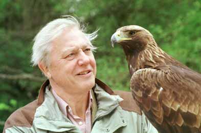 Attenborough%20photo.jpg