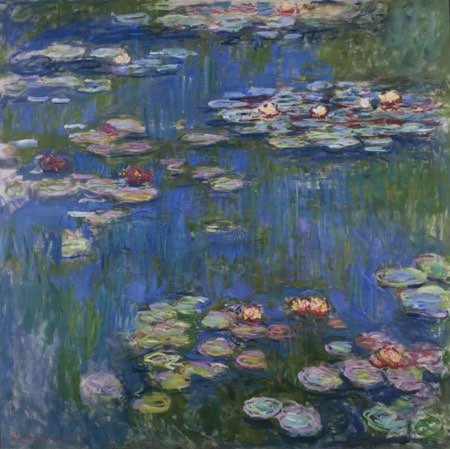 water lillies