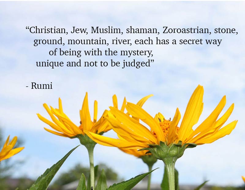 rumi--each-religion