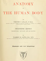 Gray's_Anatomy