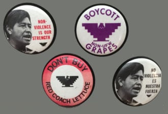 National_Farm_Workers_Association_protest_buttons