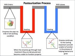 pasteurisation