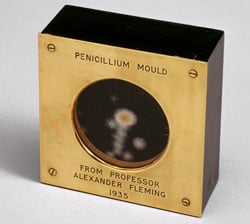 penicillin_mould_presented_by_Alexander_Fleming_to_Douglas_Macleod,_1935_(9672239344)